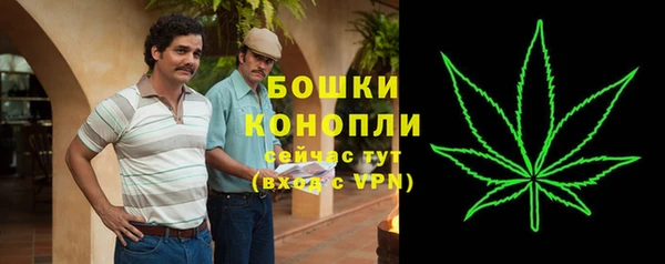 крисы Белоозёрский