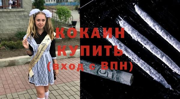 бошки Белокуриха