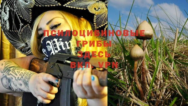 бошки Белокуриха